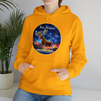 Big Moose, NY Unisex Heavy Blend Hoodie