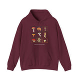 Mystical Shroom Unisex Gildan Heavy Blend™ 🍄Hooded Sweatshirt